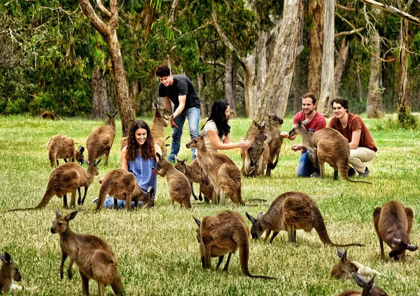 Kangaroo Island Wildlife Park