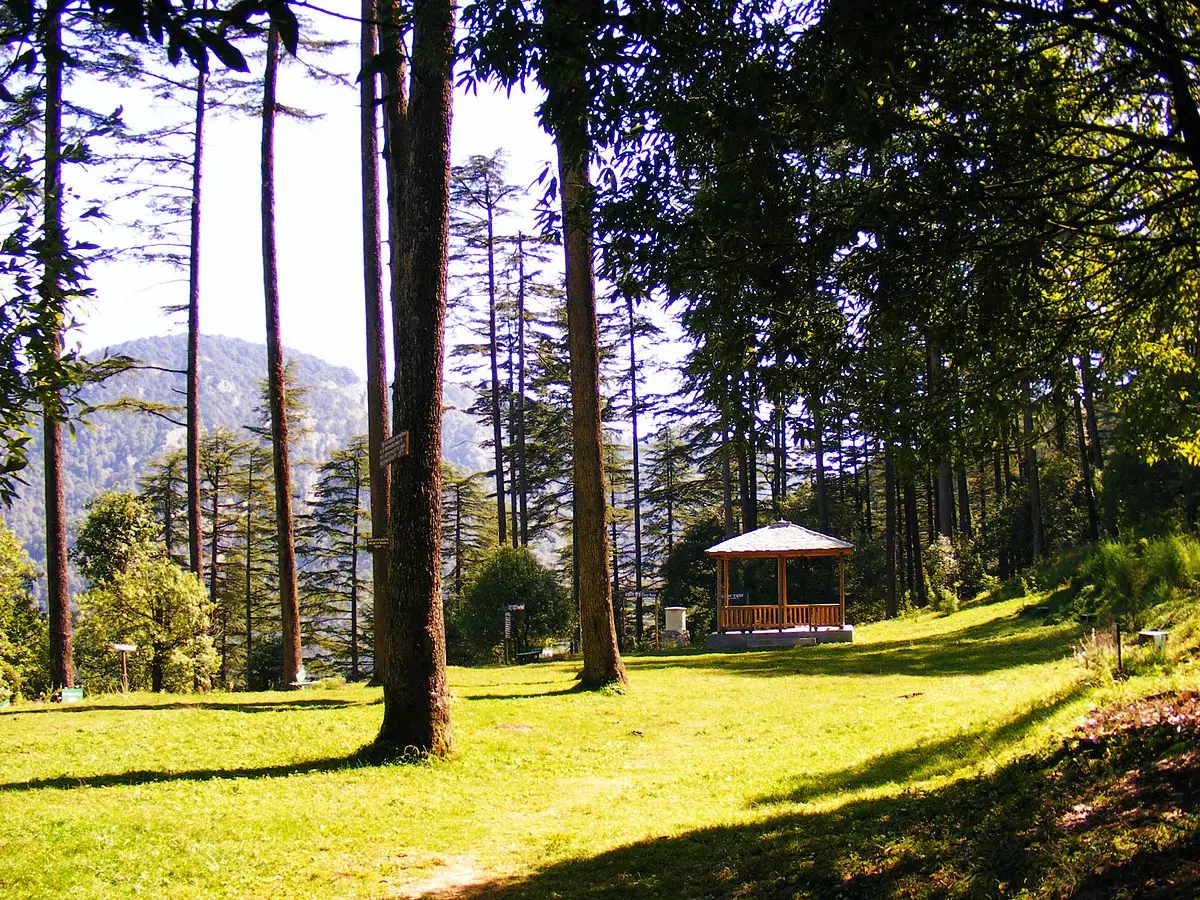 Dhanaulti Trekking Adventure