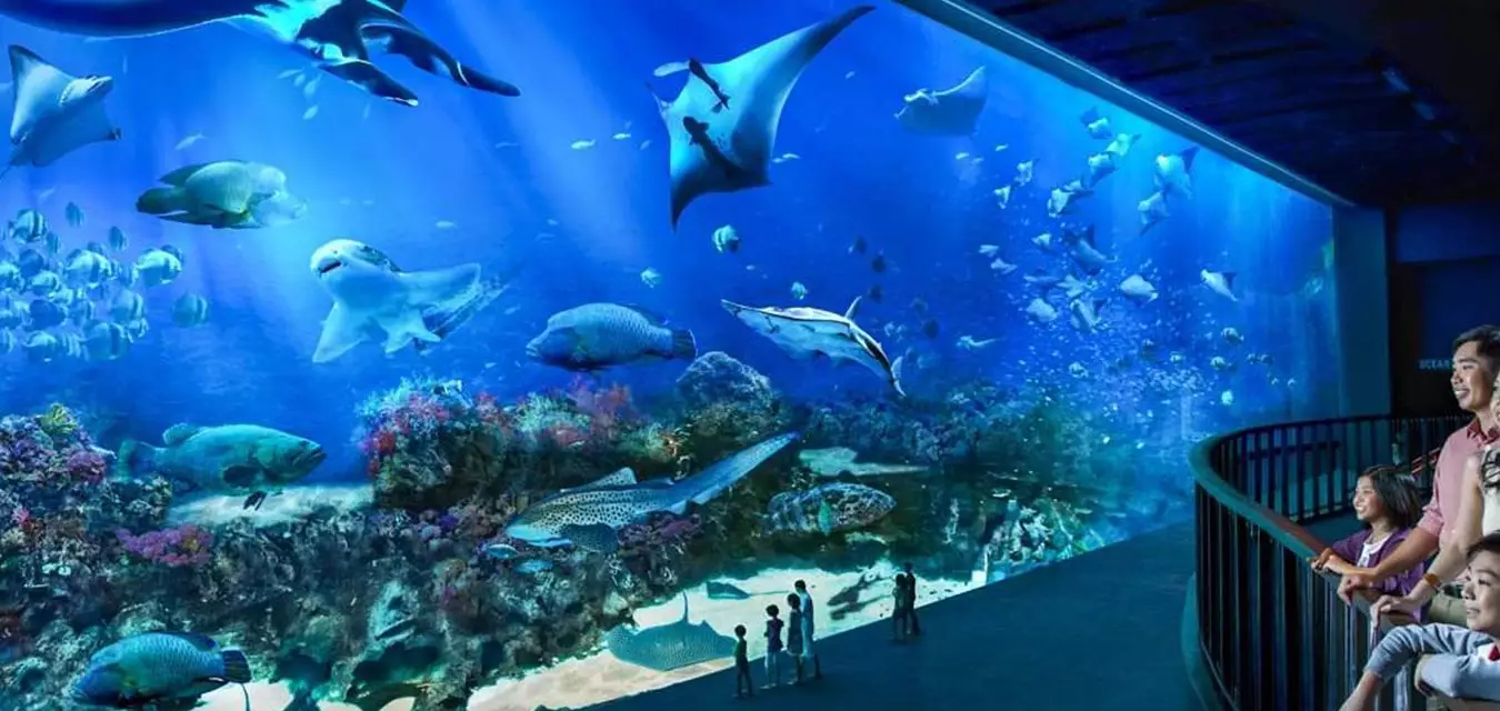 Shanghai Ocean Aquarium