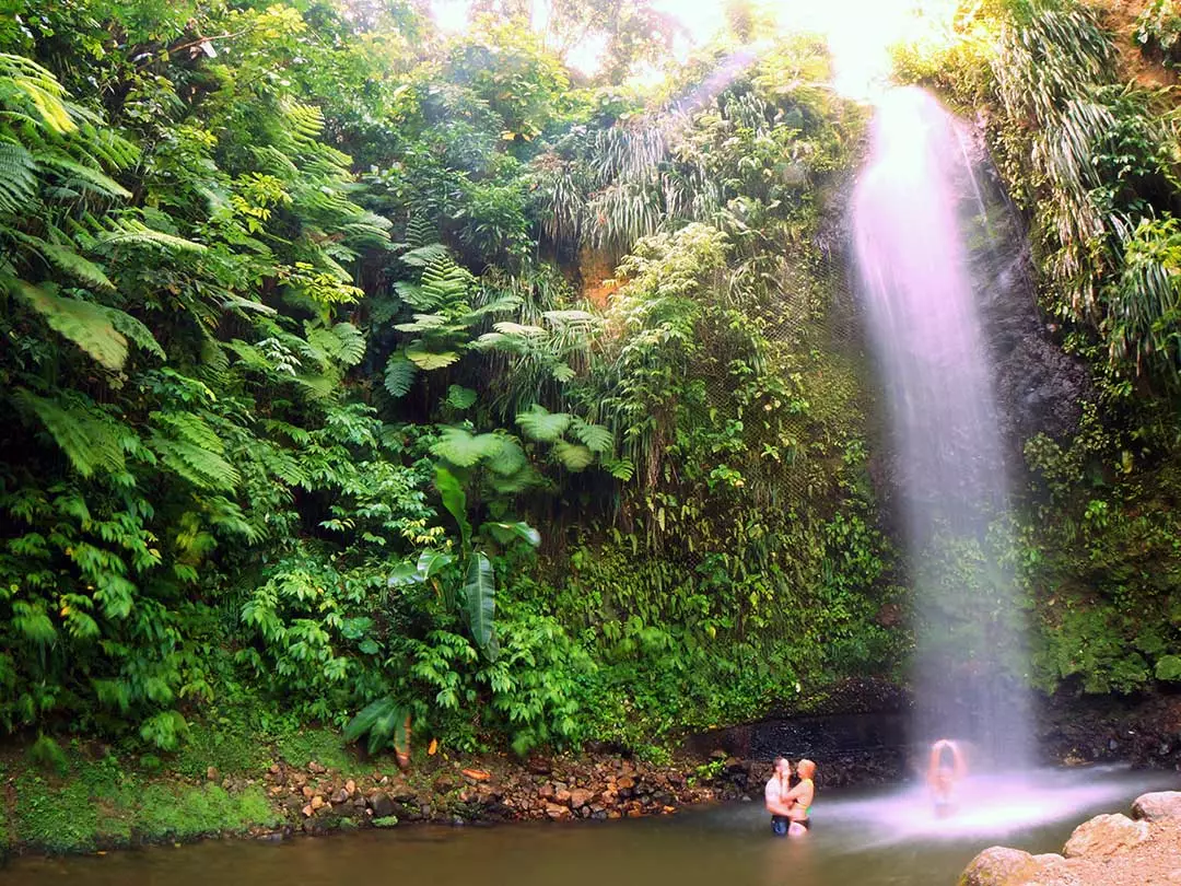 Waterfalls of St. Lucia