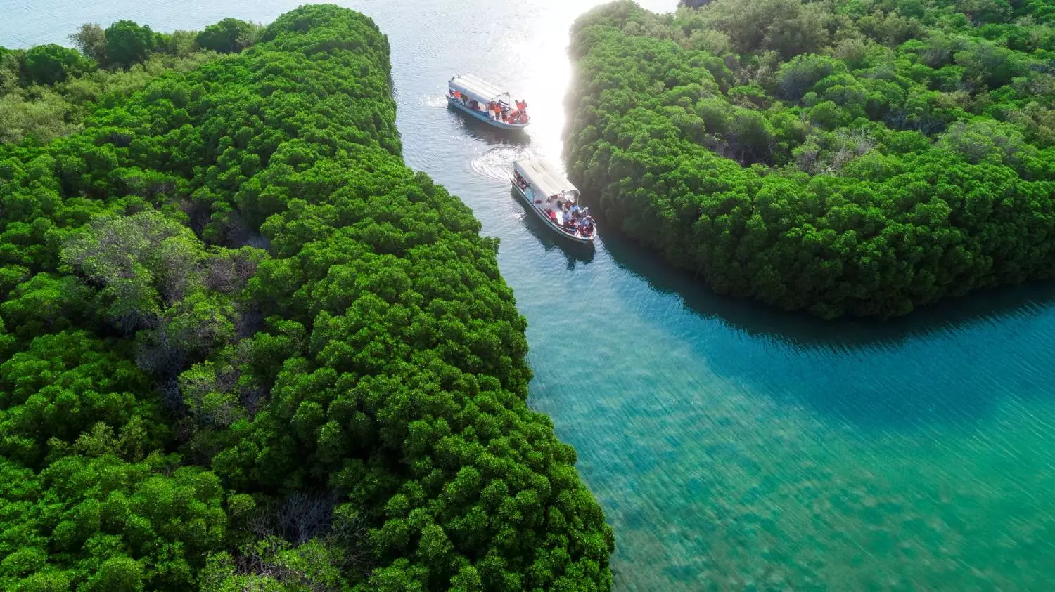 Farasan Island, Jazan