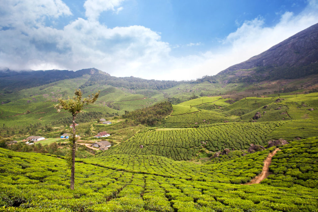 Munnar – A Mystic Hill Station of Western Ghats, Kerala - India Imagine